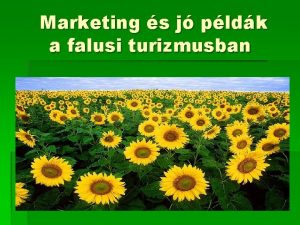 Marketing s j pldk a falusi turizmusban Sajt