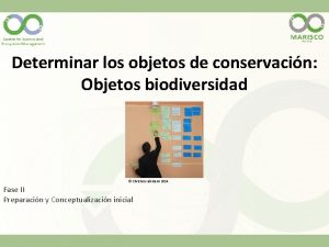 Determinar los objetos de conservacin Objetos biodiversidad Christina