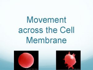 Movement across the Cell Membrane Cell Membrane I