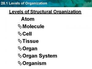 28 1 Levels of Organization Levels of Structural