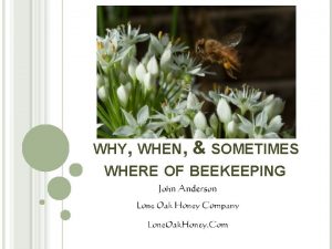 WHY WHEN SOMETIMES WHERE OF BEEKEEPING SOME ADVICE