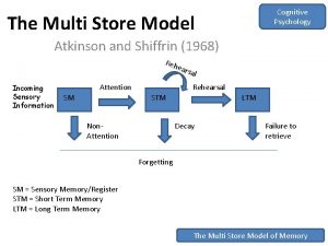 Cognitive Psychology The Multi Store Model Atkinson and