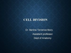 CELL DIVISION Dr Berlina Terrence Mary Assistant professor