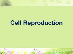 Cell Reproduction Cell Reproduction Gamete Production 4 6
