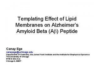 Templating Effect of Lipid Membranes on Alzheimers Amyloid