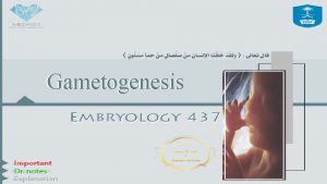 Gametogenesis Objectives 1 Describe the female cycles ovarian