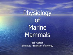 Physiology of Marine Mammals Bob Gatten Emeritus Professor