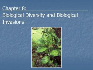 Chapter 8 Biological Diversity and Biological Invasions Overview
