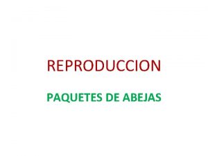 REPRODUCCION PAQUETES DE ABEJAS CONCEPTO Los paquetes de