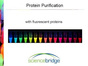 Protein Purification with fluorescent proteins Laboratory Introduction What