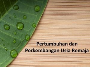 Pertumbuhan dan Perkembangan Usia Remaja Usia remaja Remaja