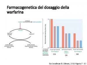 Farmacogenetica del dosaggio della warfarina 11 12 22