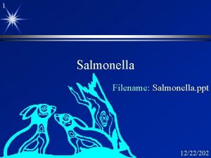1 Salmonella Filename Salmonella ppt 1222202 2 Salmonella