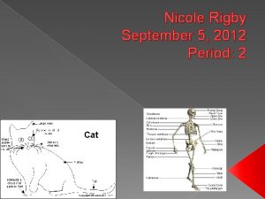 Nicole Rigby September 5 2012 Period 2 1