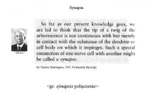 Synapsa Sir Charles Sherrington 1897 Podrcznik fizjologii gr