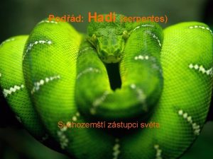 Podd Hadi serpentes Suchozemt zstupci svta Taxonomick rozdlen