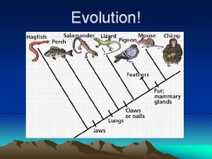 Evolution Charles Darwin In 1831 Darwin set sail