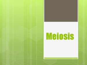 Meiosis Blueprint of the Body 1 blueprint from