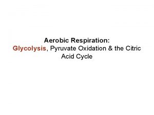 Aerobic Respiration Glycolysis Pyruvate Oxidation the Citric Acid