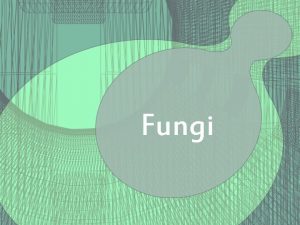 Fungi Fungi Can be unicellular yeasts Can be