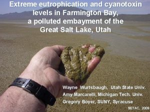 Extreme eutrophication and cyanotoxin levels in Farmington Bay