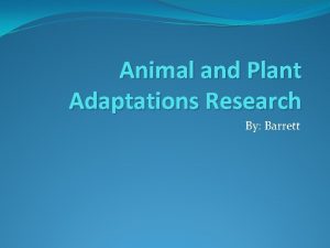 Animal and Plant Adaptations Research By Barrett Animal