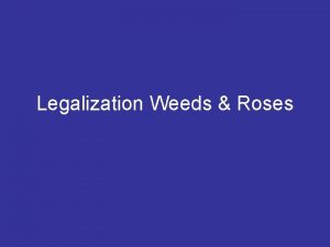 Legalization Weeds Roses Things to improve on from