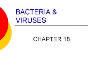 BACTERIA VIRUSES CHAPTER 18 BACTERIA BACTERIA ARE SMALL