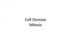 Cell Division Mitosis Cell Division process by which