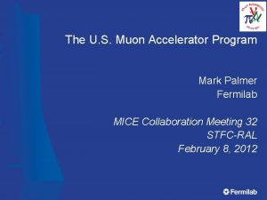 The U S Muon Accelerator Program Mark Palmer