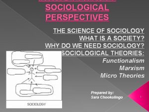 INTRODUCTION TO SOCIOLOGICAL PERSPECTIVES THE SCIENCE OF SOCIOLOGY