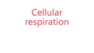 Cellular respiration What is cellular respiration Respiration occurs