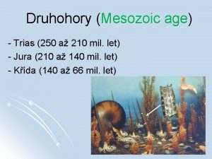 Druhohory Mesozoic age Trias 250 a 210 mil