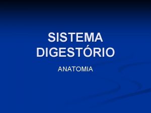 SISTEMA DIGESTRIO ANATOMIA CONSTITUIO GERAL n TRATO GASTRINTESTINAL