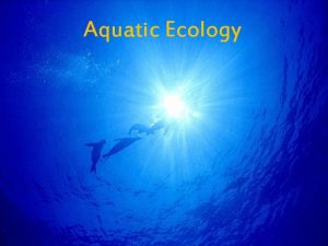 Aquatic Ecology Factors Affecting Aquatic Ecosystems Light decreases