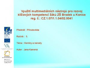 Vyuit multimedilnch nstroj pro rozvoj klovch kompetenc k