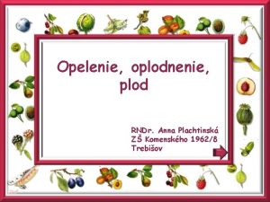 Opelenie oplodnenie plod RNDr Anna Plachtinsk Z Komenskho