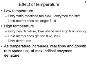 Effect of temperature 1 Low temperature Enzymatic reactions