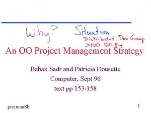 An OO Project Management Strategy Babak Sadr and