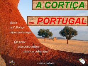 A CORTIA em PORTUGAL Com cerca de 157
