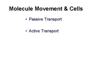 Molecule Movement Cells Passive Transport Active Transport Solution