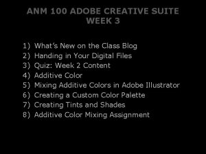 ANM 100 ADOBE CREATIVE SUITE WEEK 3 1