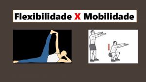 Flexibilidade X Mobilidade Flexibilidade Muscular Pode ser simplesmente