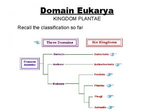 Domain Eukarya KINGDOM PLANTAE Recall the classification so