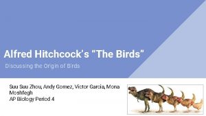 Alfred Hitchcocks The Birds Discussing the Origin of