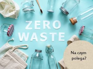 Na czym polega Co to znaczy Zero Waste