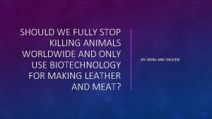 SHOULD WE FULLY STOP KILLING ANIMALS WORLDWIDE AND