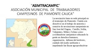 ASIMTRACAMPIC ASOCIACIN MUNICIPAL DE TRABAJADORES CAMPESINOS DE PIAMONTE