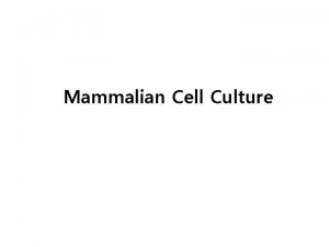 Mammalian Cell Culture Introduction What is cell culture