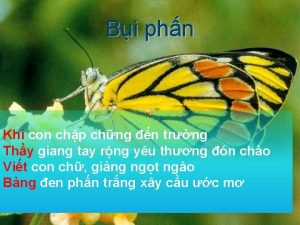 Bi phn Khi con chp chng n trng